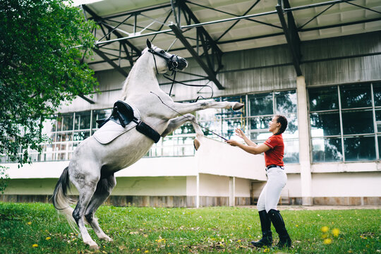 Side view of Caucasian female professional with horsewhip training obedient stallion champion to making tricks, young jockey rider 20s practicing dressage skills with thoroughbred mare animal