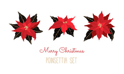 Scandinavian set of poinsettia flowers,  Hand drawn Christmas traditional plants collection. New Years holiday elements. Vector illustration in flat style isolated on white background. 