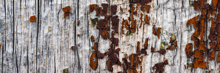 Texture of old weathered rough cracked wood surface with peeling paint. Wide panoramic rustic background for design.