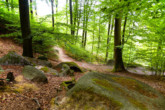 Wanderweg durch den Buchenwald im Felsenmeer
Felsenlandschaft aus dunkelgrauem Quarzdiorit &ndash; Naturschutzgebiet
Deutschland / Hessen
Lautertal-Reichenbach im Odenwald
