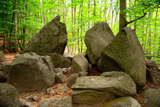 Felsbl&ouml;cke im Felsenmeer
Felsenlandschaft aus dunkelgrauem Quarzdiorit &ndash; Naturschutzgebiet
Deutschland / Hessen
Lautertal-Reichenbach im Odenwald