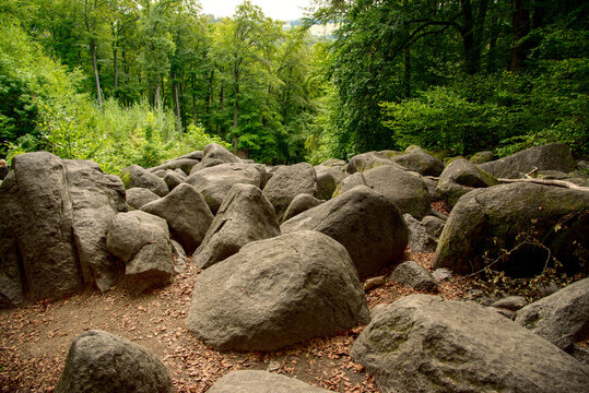 Felsbl&ouml;cke im Felsenmeer
Felsenlandschaft aus dunkelgrauem Quarzdiorit &ndash; Naturschutzgebiet
Deutschland / Hessen
Lautertal-Reichenbach im Odenwald