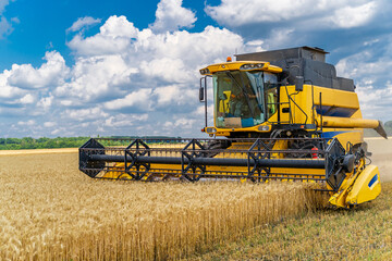 Heavy technics in wheat field. Yellow combine harvesting dry wheat. Observing process. Front view.