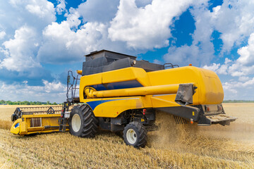 Obraz premium Process of gathering a ripe crop from the fields. Combine harvester in action on wheat field. Closeup