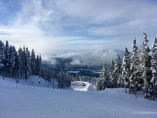 View of mountains and trees from Whistler Blackcomb