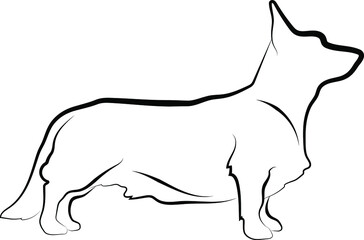 Cardigan welsh corgi full body vector silhouette illustration