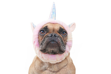 French Bulldog dog wearing a fluffy headband with unicorn horn and ears on white background