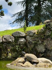 rocks in the mountains