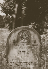 Tombstone at abandoned jewish cemetery in the middle of forest in Zarki, Poland. 18th century graveyard hidden in the woods. Forgotten tombstones and matzevot of dead jews are deteriorating. 