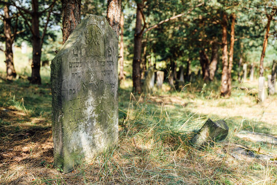 Tombstone at abandoned jewish cemetery in the middle of forest in Zarki, Poland. 18th century graveyard hidden in the woods. Forgotten tombstones  deteriorating. 