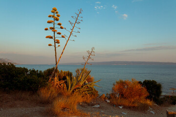 croatian coast