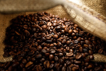 Coffee beans closeup grain inside burlap. Light passes through the bag and illuminates the grains. Close-up macro shot, selective focus.
