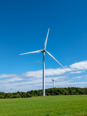 Vertical Shot of Wind Turbines in Field Against Blue Sky