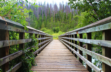 old wooden bridge