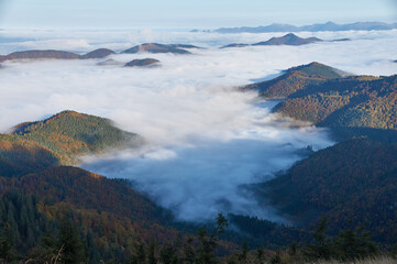 landscape of Low Tatras, autumn, morning fog, Slovakia