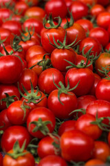 Lots of red round tomatoes with green cuttings, background texture. Ripe vegetables, freshly harvested