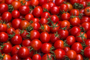 Lots of red round tomatoes with green cuttings, background texture. Ripe vegetables, freshly harvested