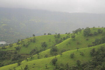 Obraz premium misty morning in the mountains