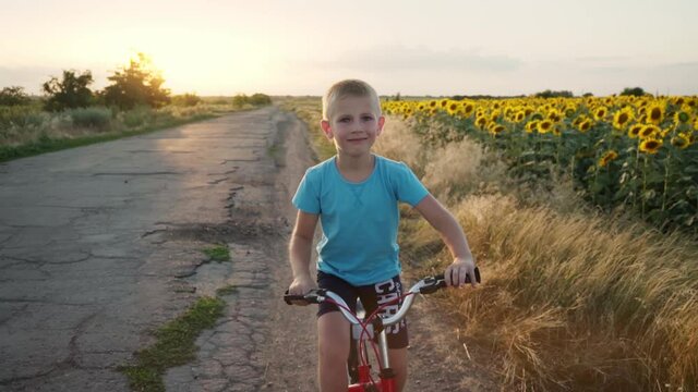A child rides a bicycle on a country road. Children's cycling. Active summer vacation. Happy boy on his bike outside the city. A child rides near a field of sunflowers.
