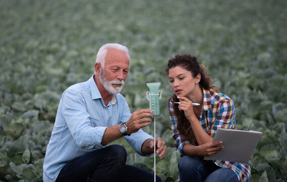 Farmers checking water quantity in rain gauge in field