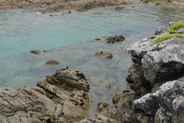 stones in tropical water 