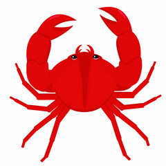 illustration of a crab on a white background