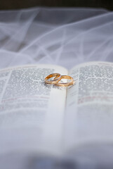 husbands rings on the bible before the wedding