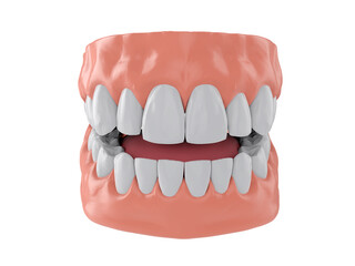 human jaw with white healthy straight teeth, correct bite, 3d render