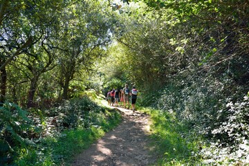Fototapeta premium Retired hikers on the path in brittany France
