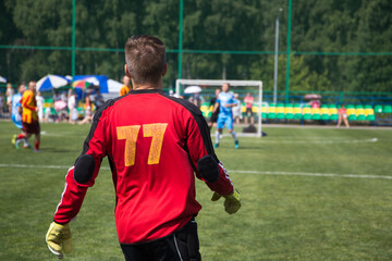 Fototapeta premium soccer player kicking the ball