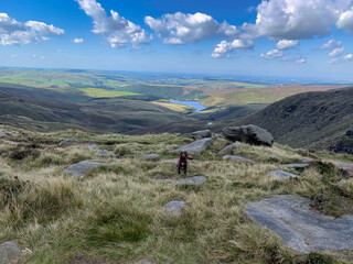 Dog hiking in harness kinder scout reservoir peak district view  