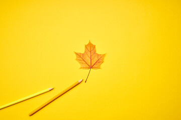 Obraz premium creative fall color symbol. minimal trendy design composition. golden maple leaf with colour pencil over yellow background