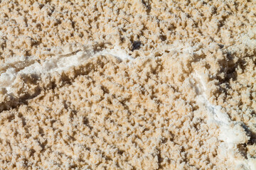 Closeup of Crusted Salt at Bad Water Basin, Death Valley National Park, California, USA