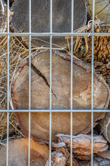 A dry wood log and straw for firing and heating lies in the backyard