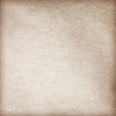 Old Paper texture. vintage paper background or texture; brown paper texture