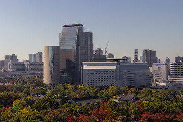 Skyscraper from the castle of Osaka (Japan)