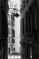 Fototapeta premium Street in the old town of Genoa