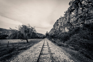 train tracks