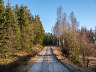 Fototapeta na wymiar A straight dirt road goes uphill into the distance. It is evening and the setting sun is shining on a tree line stretching along the roadside. It is a calm rural landscape in Sweden, Europe.