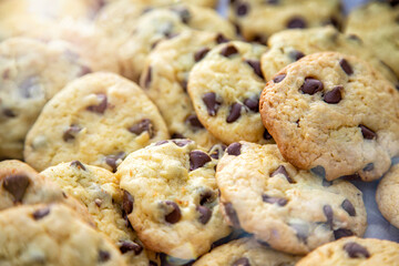Close up of group of chocolate chip cookies with sun flare