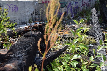 Lost Place: Blubb Berlin