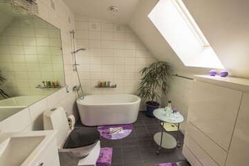 Beautiful view of interior of bathroom in the house. Roof window with flower, coffee table and carafe of water.