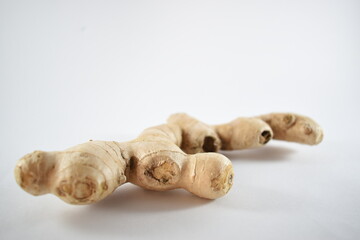 
front view of a ginger on a white background