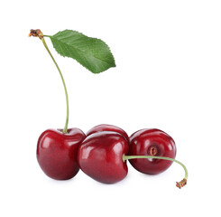 Fresh ripe sweet cherries with leaf isolated on white