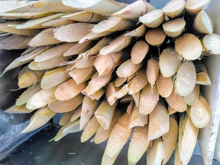 pile of sugar cane