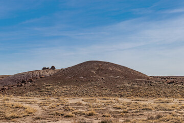Fototapeta na wymiar Special rocks strewn around the park, Petrified National Forrest, AZ, USA