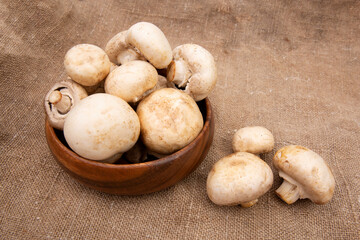 mushroom champignon isolated on brown burlap