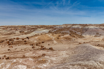 Fototapeta na wymiar Interesting landscape filled with petrified rocks, Petrified National Forrest, AZ, USA