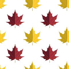 Autumn maple leaves seamless pattern isolated on white. Vector illustration