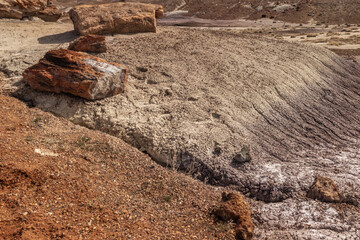 Close look at rocks and wood fused together - Petrified National Forrest, AZ, USA